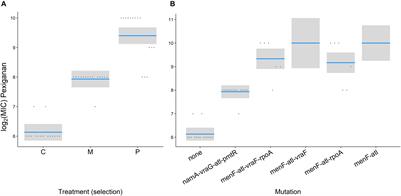 Resistance Evolution Against Antimicrobial Peptides in Staphylococcus aureus Alters Pharmacodynamics Beyond the MIC